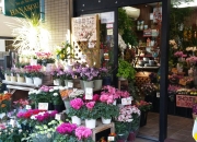 神奈川県横浜市保土ケ谷区の花屋　花幸　岩間町店