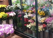神奈川県横浜市保土ケ谷区の花屋　花幸　岩間町店